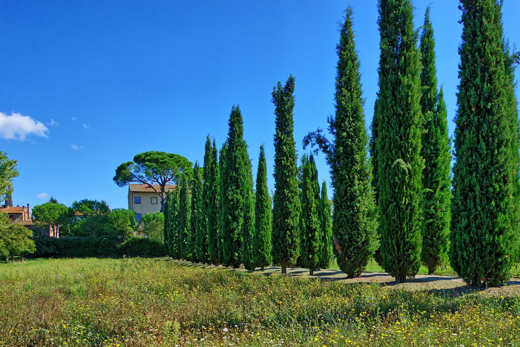 Villa Giovi Arezzo Esterno foto