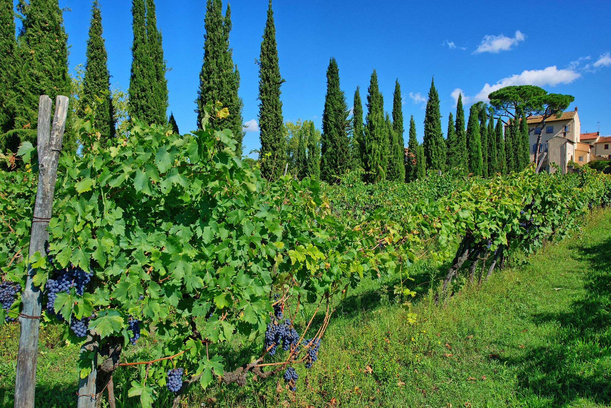 Villa Giovi Arezzo Esterno foto