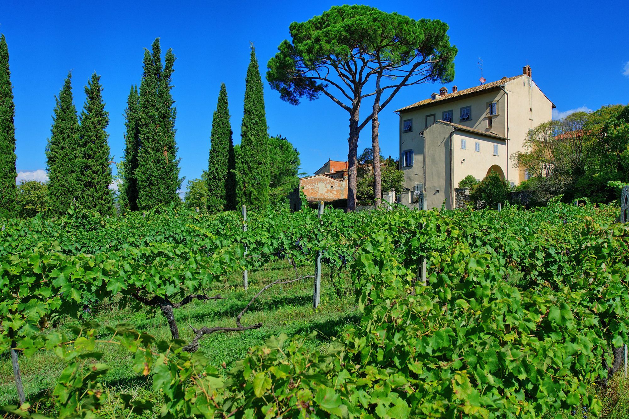 Villa Giovi Arezzo Esterno foto
